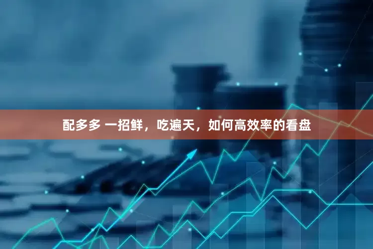 配多多 一招鲜，吃遍天，如何高效率的看盘