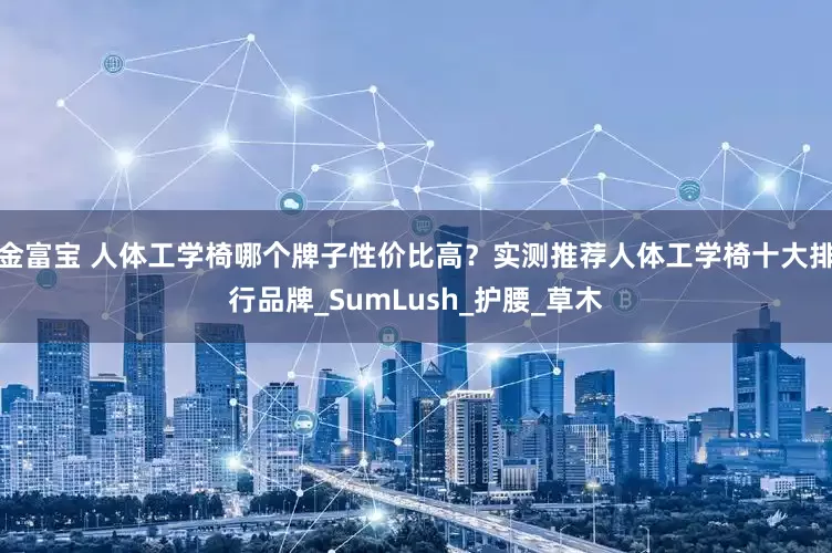 金富宝 人体工学椅哪个牌子性价比高？实测推荐人体工学椅十大排行品牌_SumLush_护腰_草木