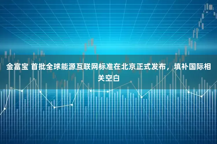 金富宝 首批全球能源互联网标准在北京正式发布，填补国际相关空白
