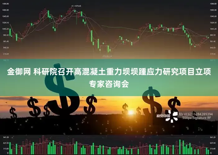 金御网 科研院召开高混凝土重力坝坝踵应力研究项目立项专家咨询会