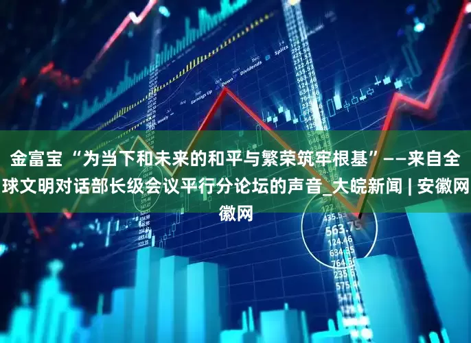 金富宝 “为当下和未来的和平与繁荣筑牢根基”——来自全球文明对话部长级会议平行分论坛的声音_大皖新闻 | 安徽网